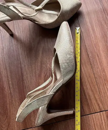 Impo Medium Pointy Heels with Golden touch For Women