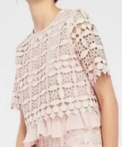 Sandro Paris Claude Nude Pink Lace
Peplum Top Size 3 (L)E10851E