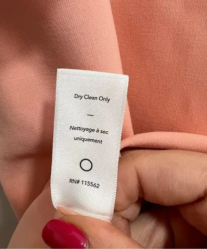 Likely NEW NWT Shania Ruffle Maxi Gown In Peach