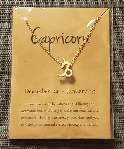 Custom Made CAPRICORN Constellation Pendant Necklace