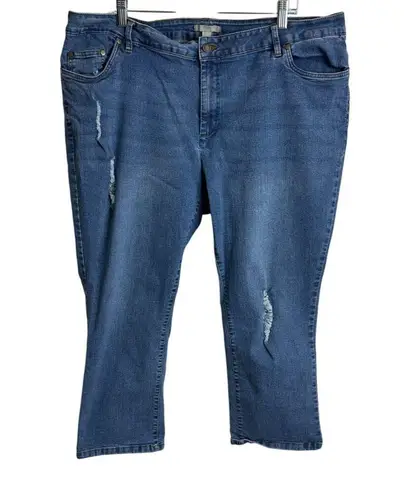Woman Within Distressed Denim Jeans Size 22W From Bangladesh
