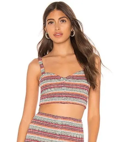 Privacy Please NWT striped crop top