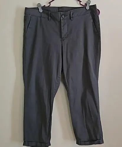 Jag jeans Jag ankle length slim fit pants