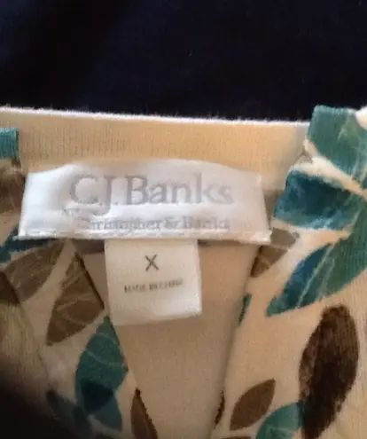 cj banks Top