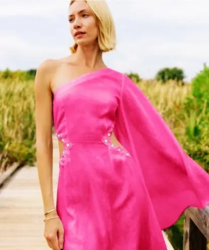 FANM MON Amarya Pink One Shoulder Dress Long Sleeve Cutout Embroidered XS New