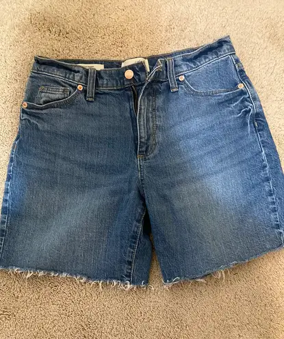 Target Denim Jorts