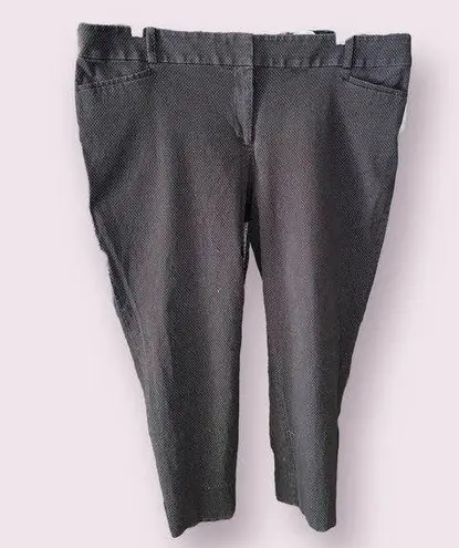 The Loft The Rivera Pant in Black w/ Tiny Polka Dots