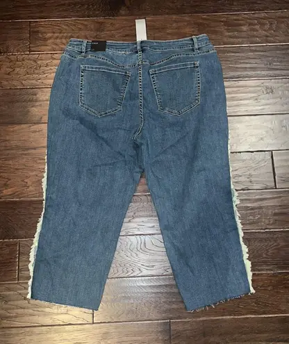 Lane Bryant Fringe Crop Jeans Size 20