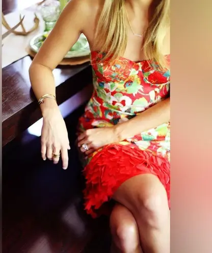 Peter Som for Anthropologie Luisa Poppy
Dress size 12