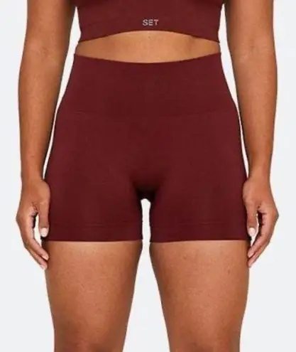 Set Active Sculptflex Biker Shorts Maroon
