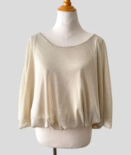 Arden B Sparkly Blouse Slouchy Top batwing Gold Metallic Nude boat-neck size S
