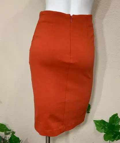 CAbi #3099 Orange Turmeric Sweater Pencil Skirt