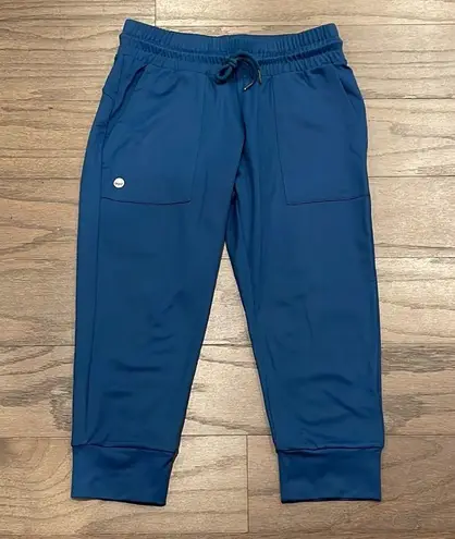 Senita Athletics Blue Courtside Joggers - Size XS
