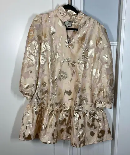 Tuckernuck Champagne Fil Coupe Palmerston Formal Mini Dress Size Large NWT Prep Tan