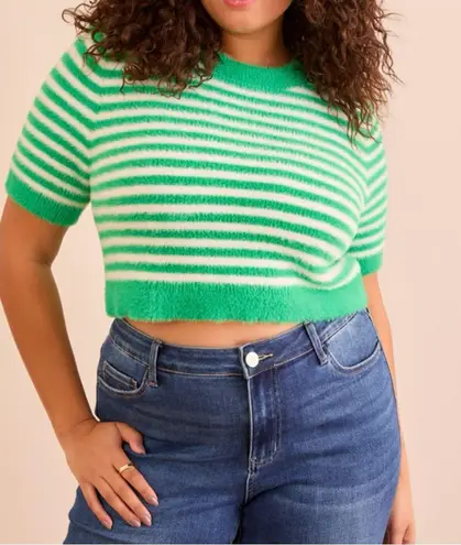 NEW Arula Green Striped Sweater Top Plus Size 1X NWT