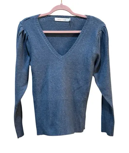 Bishop and Young Blue V Neck Puff Sleeve Sweater Size Small Pullover