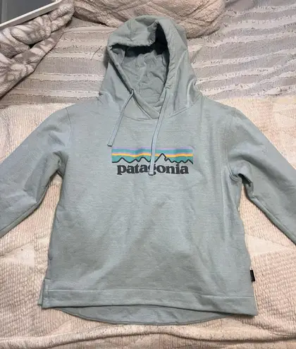 Patagonia Hoodie