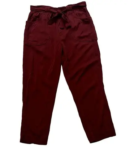 Anthropologie DOLAN LEFT COAST Northwestern Joggers Paperbag Pants, Sz M Size M