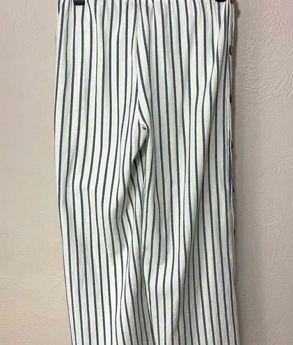 Vintage Havana Striped Button-Down Pants