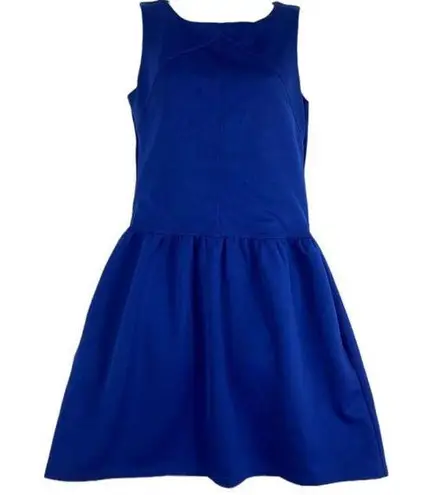 Cynthia Rowley  Blue Sleeveless Fit and Flare Pocket Dress Size 4