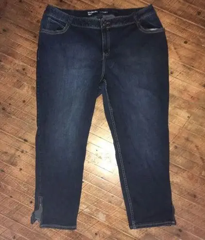 Lane Bryant  dark wash genius fit ankle zip 22 jeans