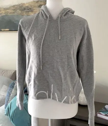 Calvin Klein Super Cute Gray  Cropped Hoodie