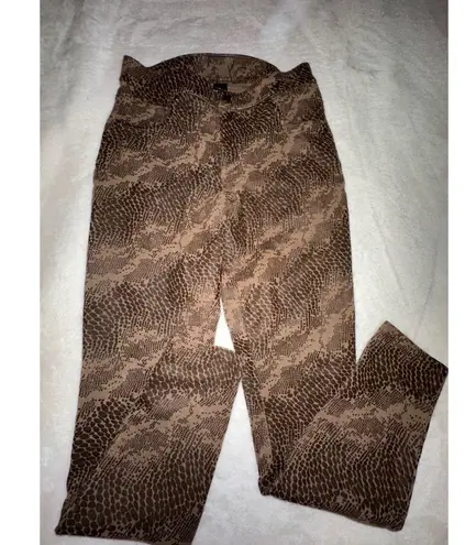 Hue Snakeskin Print Leggings Womens Size S Brown Animal Print Pants
