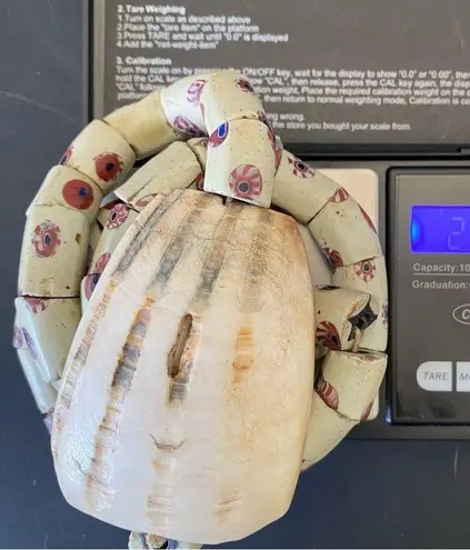 African Venetian Antique Bear Paw Evil Eye Millefiori Glass Trade Beads Necklace