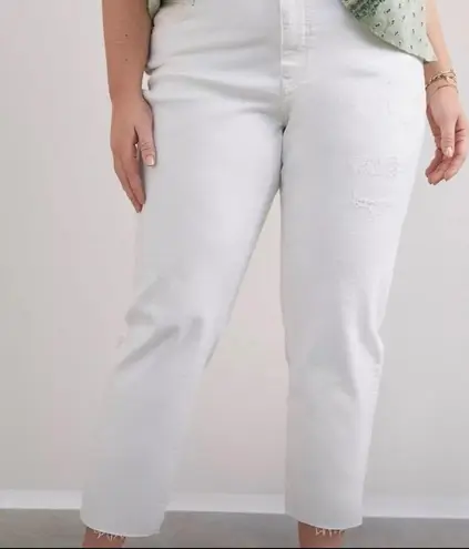 Pilcro and the Letterpress Anthropologie The Borrowed Boyfriend Jeans White 24P
