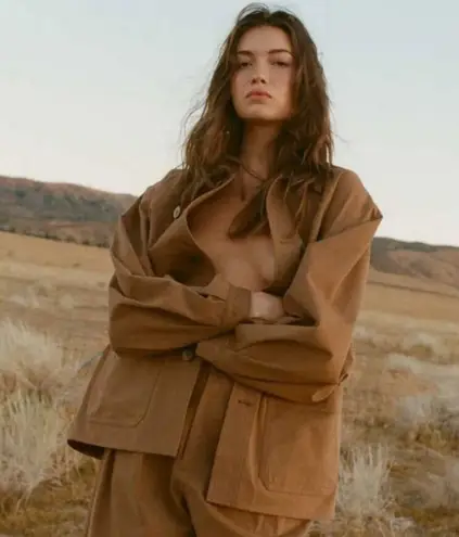 💕DOEN💕 Louvre Pant ~ High Waisted Pleated Ankle Pants Bark Brown 6 NWT