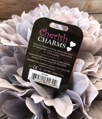 Cherish Charms AMBER Name Bracelet Charm NEW NWT Silvertone Silver Tone