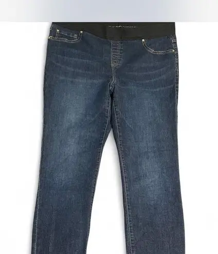 INC International Concepts Blue Jeggings with Subtle Fading Size 18W