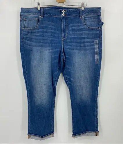 American Eagle AE Ne(x)t Level Artist Crop Jean Size 24 Long NWT