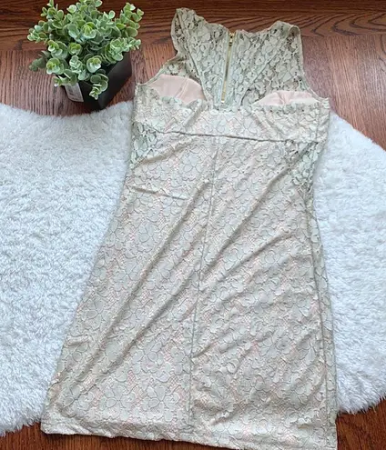 American Rag Champagne gold lace fitted Bodycon dress SZ small
