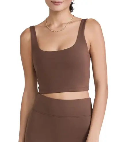 Bandier NWT All Access Tempo Crop Bra - Cappuccino - XL
