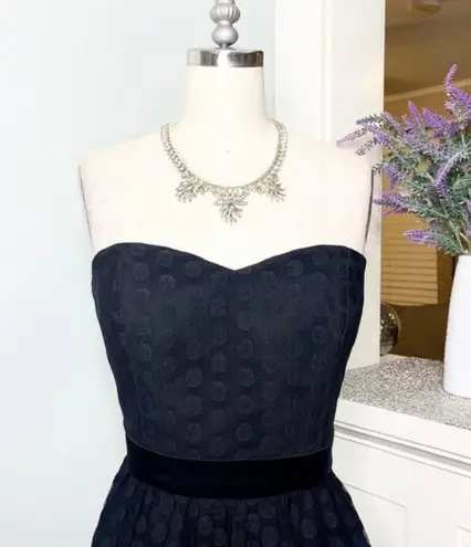 White House | Black Market  Polka Dot Tulle Strapless Fit & Flare Dress 8 Nwt