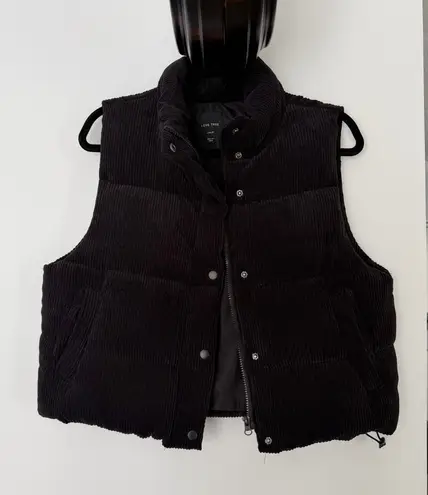 Love Tree  Dark Corduroy Jacket