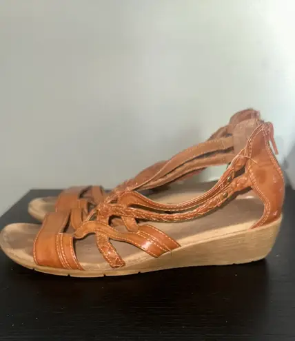 Baretraps Brown Wedge Sandals