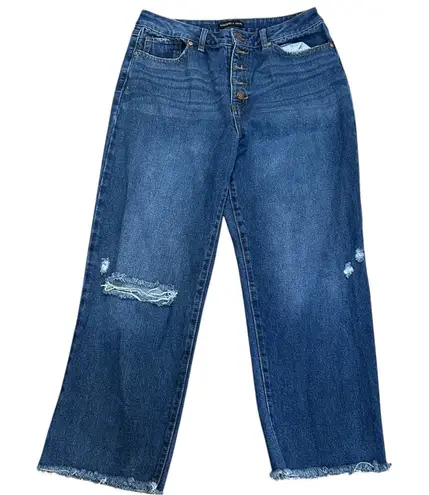 Sincerely Jules Button Fly Distressed Jeans Women’s Size 9/29 High Rise 5 pocket Blue