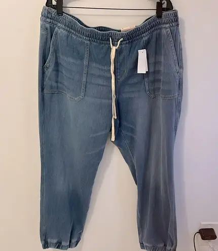 Lane Bryant  Boyfriend Jogger Jeans