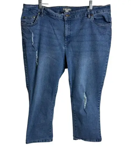 Woman Within Distressed Denim Jeans Size 22W From Bangladesh