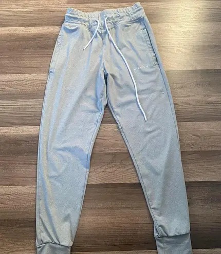 NVGTN Silver Mist Joggers