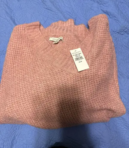 American Eagle NWT  Sweater