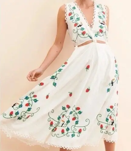 Farm Rio Cross Stitch Toucan Raspberries Fruit Embroidered Dress Size Small