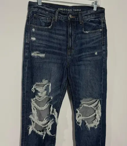 American Eagle 90’s Boyfriend Ripped Jeans 2938 Size 6