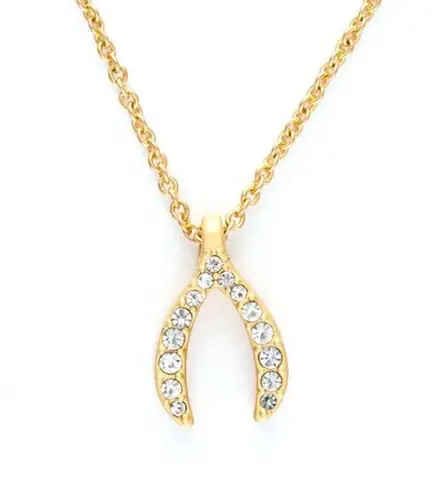 Spartina Sea La Vie Paved Wishbone Pendant Necklace