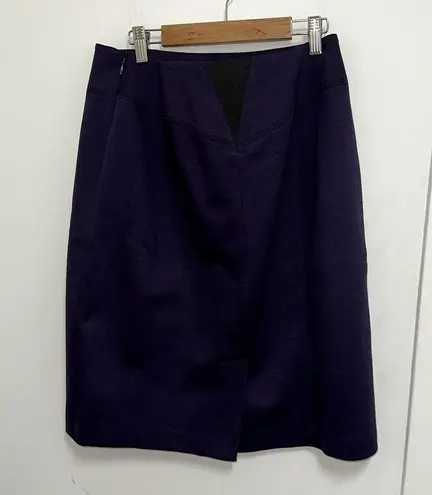 Tahari  Purple Skirt