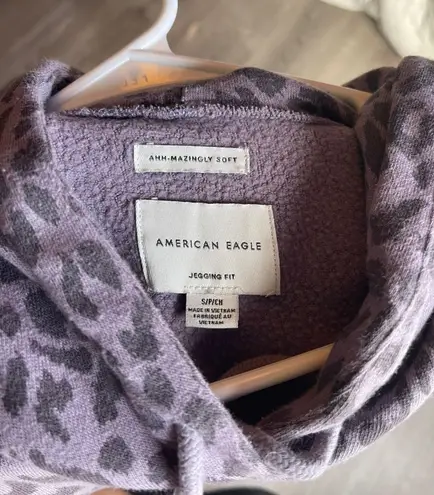 American Eagle Outfitters Oversized Hoodie