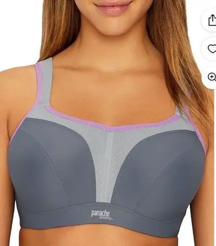 Panache  Sport Bra Gray Purple 38DD Underwire J Hook Racerback Hi Impact