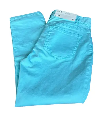 3/$15 J. JILL nwt blue crop pants Size 2P